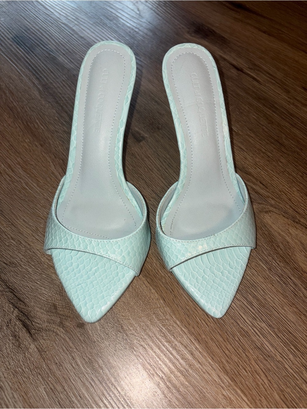 Pointed Toe Mule Heels in Mint Green